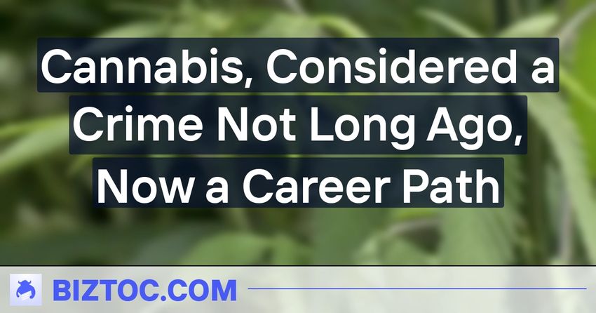  Cannabis, Considered a Crime Not Long Ago, Now a Career Path