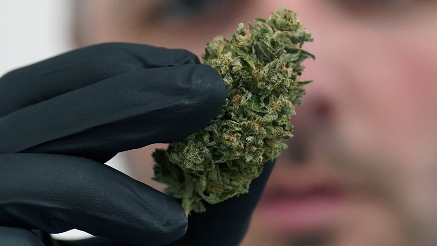  Missouri marijuana sales exceed $100 million in first month of legalized recreational sales