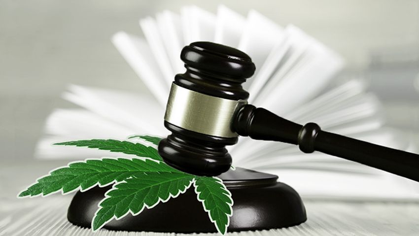  Pennsylvania: Appellate Court Rules That Medical Cannabis Costs Should Be Reimbursed by Workers’ Compensation Insurance Plans