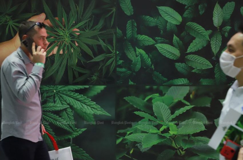 Unlicensed roadside ganja vendors busted