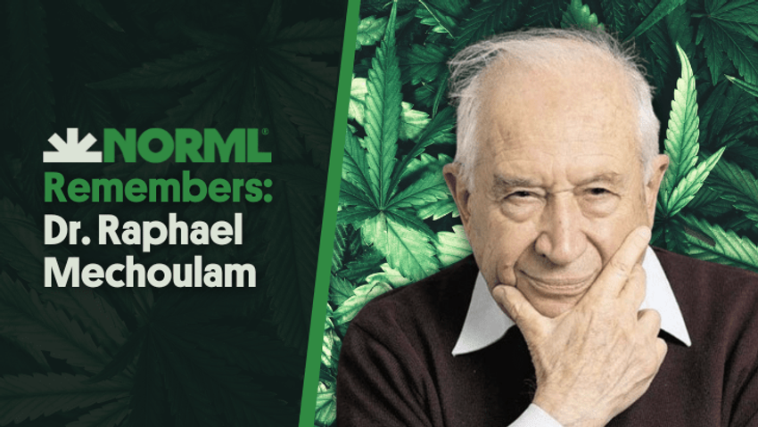 NORML Remembers: Dr. Raphael Mechoulam