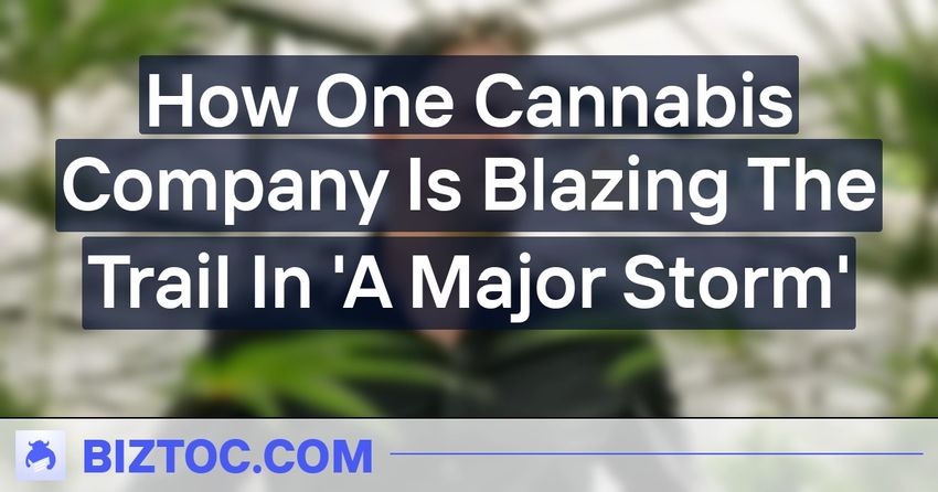 How One Cannabis Company Is Blazing The Trail In ‘A Major Storm’