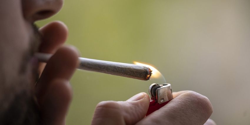 Cannabis stock fund has tumbled 72% so far this year in yet another sign of the pot industry’s increasingly bad buzz