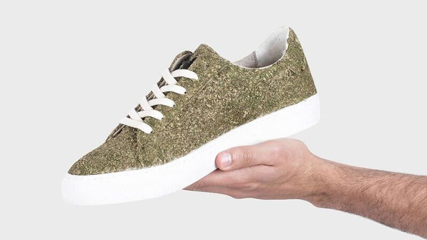 Exclusive Cannabis-Designed Sneakers – 8000Kicks and Nisiseltor Studio Unveil Sneaker Made of Weed (TrendHunter.com)