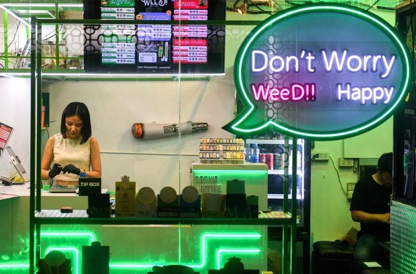  Thailand’s promised cannabis bonanza disappoints as politicians trade blame