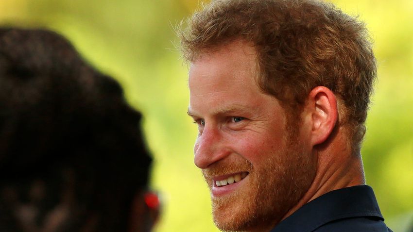  Team Harry Says He Was ‘Truthful’ About Drug Use With U.S. Immigration