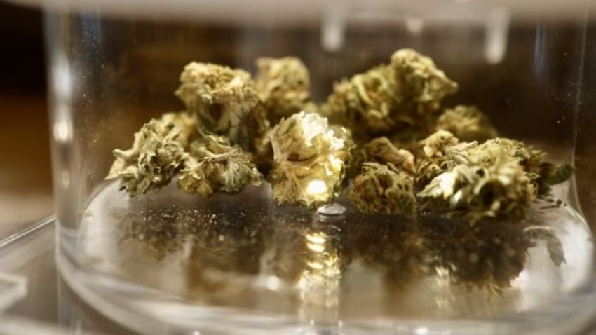  Mississauga set to reconsider ban on cannabis retail stores