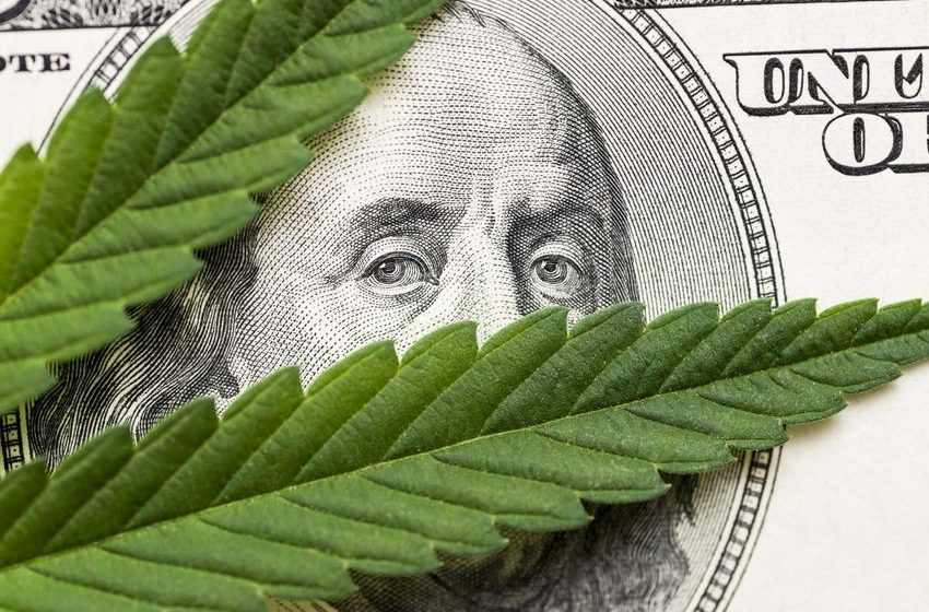  Even With Downturn, Cannabis Market Is Still Attractive To Investors Says New Report