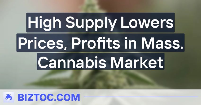  High Supply Lowers Prices, Profits in Mass. Cannabis Market