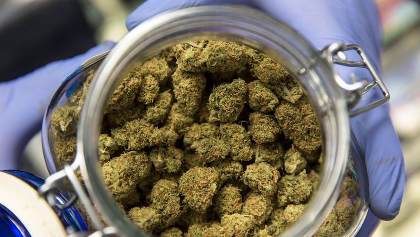 These four people will have big say over who can sell legal marijuana in Red Bank