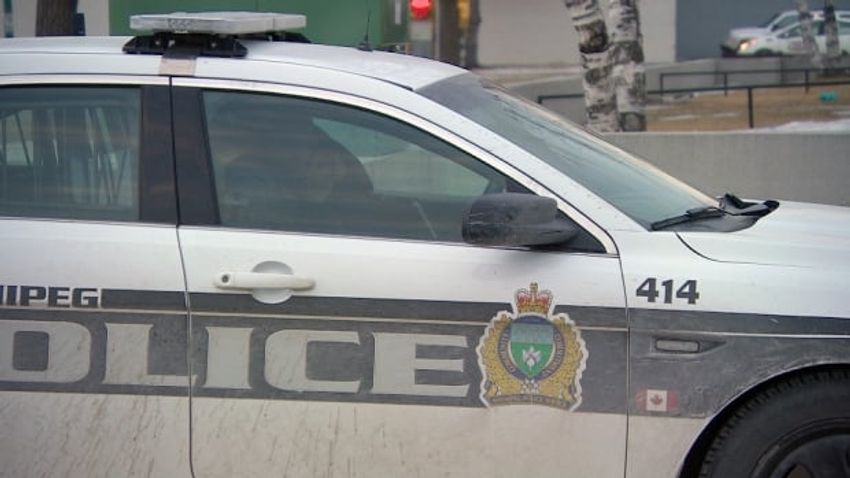Winnipeg business owner arrested after police say bear spray, cannabis found in unlicensed store