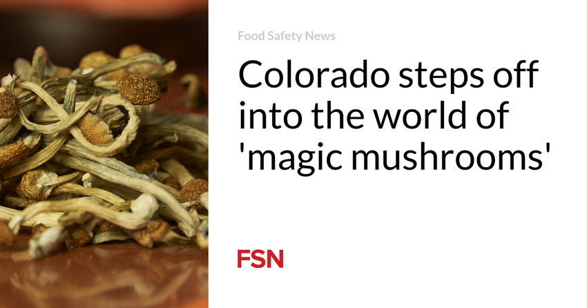  Colorado steps off into the world of ‘magic mushrooms’
