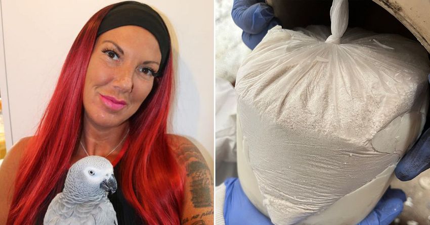 Mum who went viral searching for Chanel the parrot charged over £792,000 cannabis haul