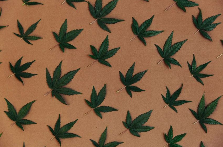 Unlock the Cannabis Industry for Financial Institutions