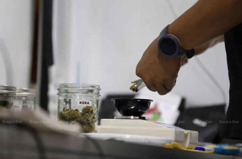 Khao San weed peddlers charged over lack of permits