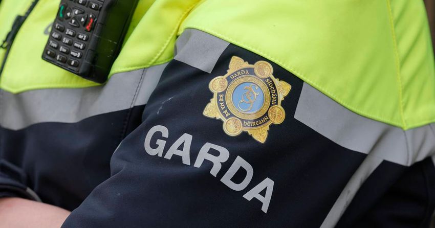 Cocaine and cannabis worth €100,000 seized in Co Westmeath home