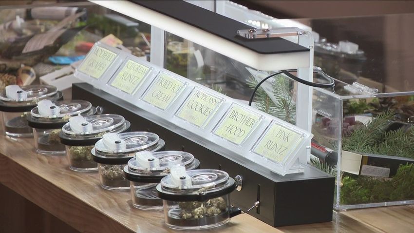  Seneca Nation-owned cannabis dispensary opens