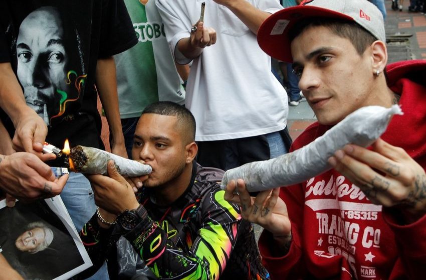  Tolerance breaks: how much weed is too much weed?