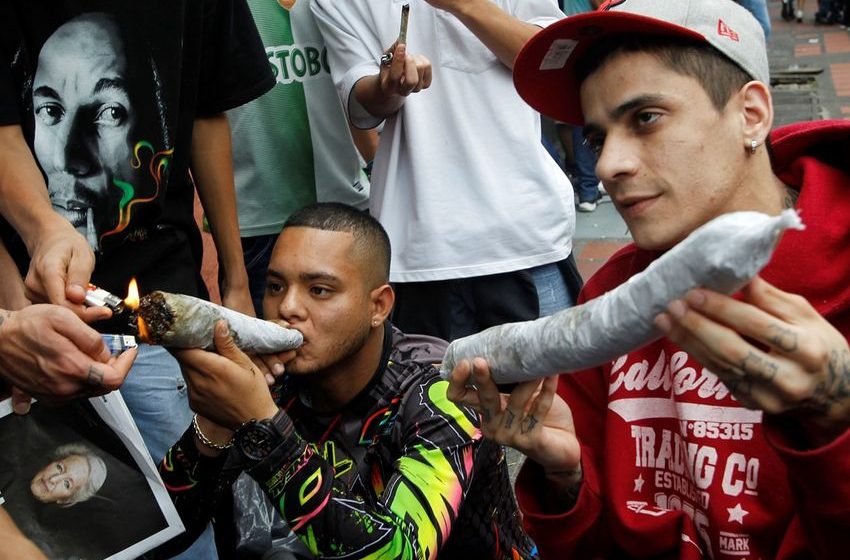 Tolerance breaks: how much weed is too much weed?