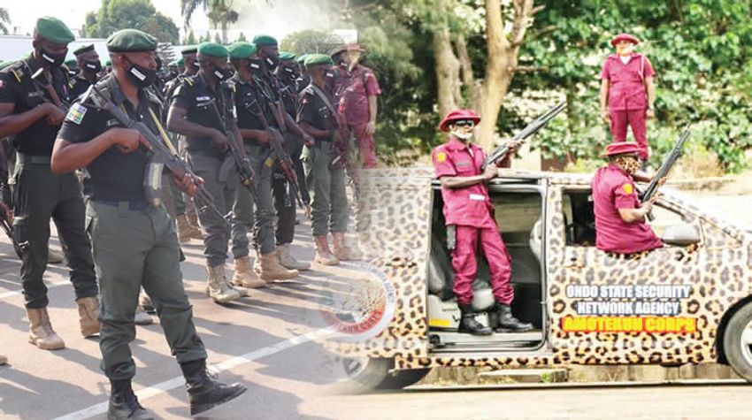  Police, Amotekun arrest five Indian hemp farmers in Ekiti