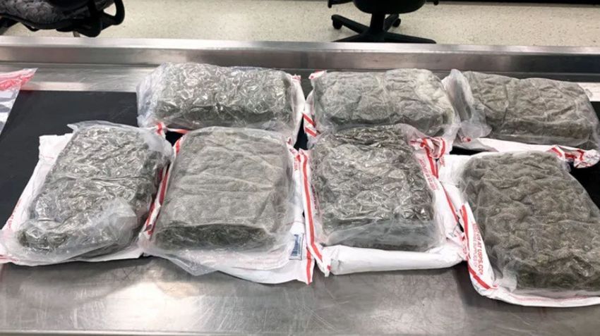  Philadelphia CBP officers intercept air fryer filled with nearly 8 pounds of marijuana