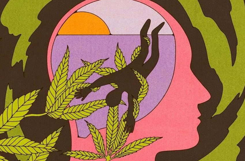  Marijuana linked to mental health risks in young adults, growing evidence shows