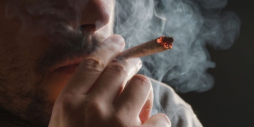 Financial Crime: Up in smoke: $60 million marijuana startup co-owned by rapper was a Ponzi scheme, Feds say