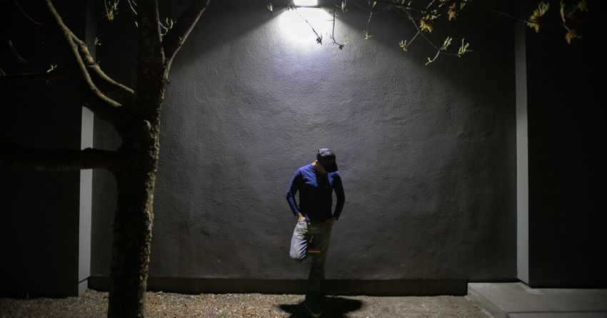 Cannabis workers face death and exploitation. California is stepping in after Times investigation