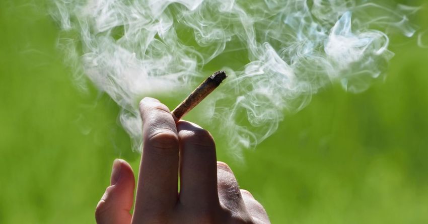 The Prevalence of Cannabis Use Disorder Among Cannabis Users