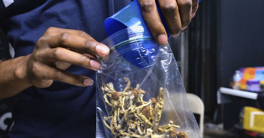 L.A. dispensaries openly sell ‘magic mushrooms’ as state weighs decriminalization