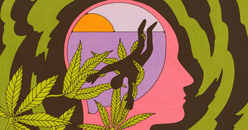  There’s growing evidence of marijuana’s ‘worrisome’ link mental health risks in young adults