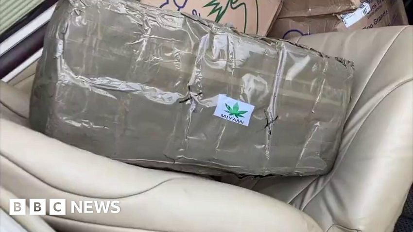  Marijuana parcels seized from plane owned by evangelical church