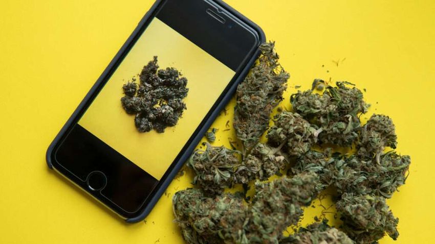 New Senate Bill Would Turn Online Services Into Narcs