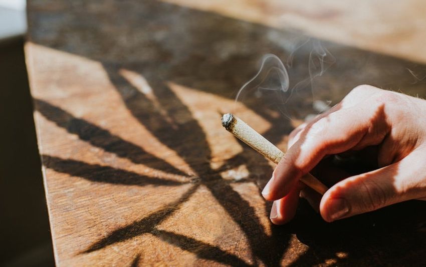  Heavy Cannabis Use Linked to Schizophrenia Especially among Young Men