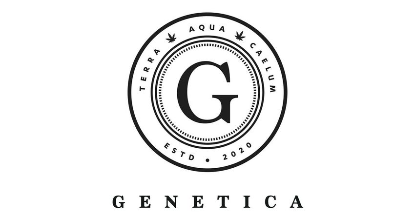  Genetica Raises $500,000 Seed Round to Make Cannabis Shopping Smarter with AI