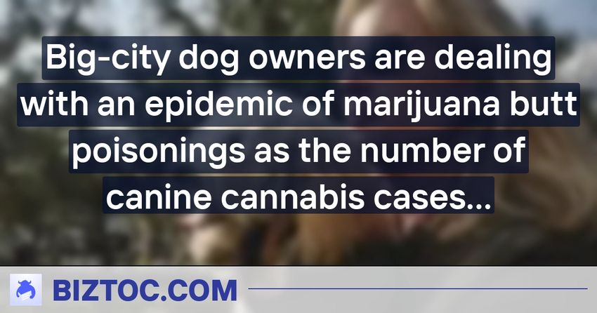 Big-city dog owners are dealing with an epidemic of marijuana butt poisonings as the number of canine cannabis cases surges 300% in 5 years
