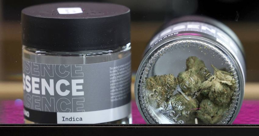 Cannabis advocates ask for changes in state law to provide protections for patients, business owners and motorists