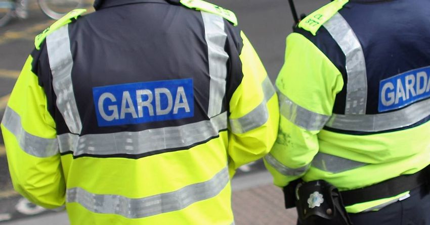  Man arrested after cannabis worth €2.84 million seized at Dublin Port on Sunday