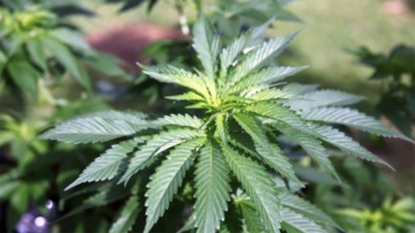 This is America’s surprising youth drug crisis