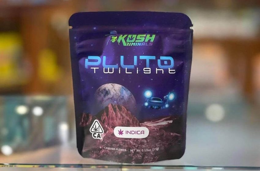 Kush Kriminals on Web3, NFTs, and Cornering the Cannabis Space on the Blockchain