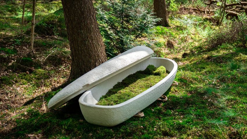  This Dutch startup company makes mushroom coffins that biodegrade in 45 days.