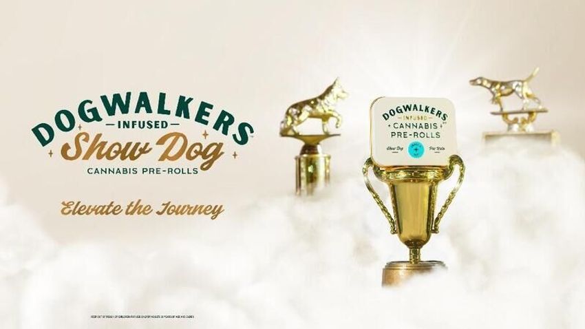  Potent Infused Cannabis Pre-Rolls – Dogwalkers Recently Expanded Its Product Range (TrendHunter.com)