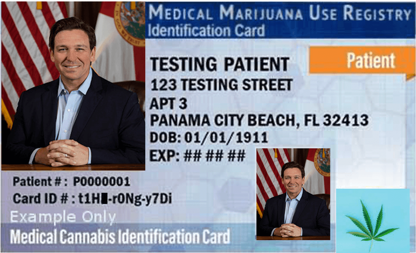  “The Real Florida”: My Trip to the Marijuana Dispensary