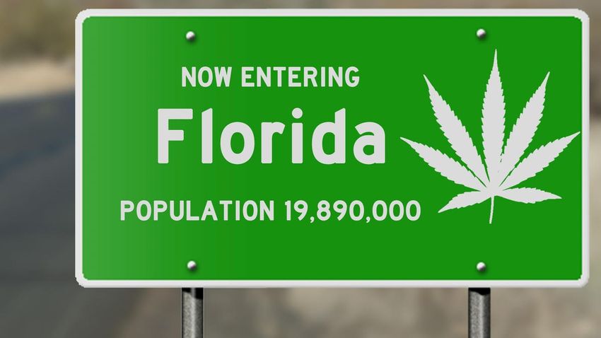  Florida Marijuana Legalization Measure Has Enough Signatures To Qualify For Vote