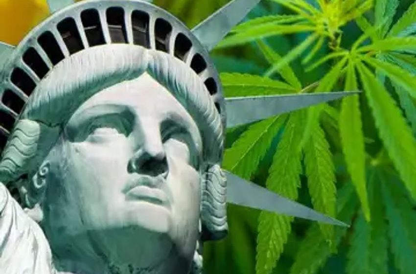  New York’s Emergency Effort To Curb Illegal Weed Shops Are Key For Market To Succeed, Says Lawyer