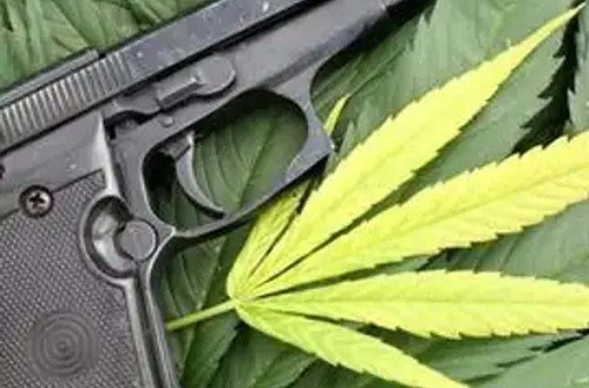  ATF: Pot Users Can’t Legally Own Firearms Regardless Of State Laws