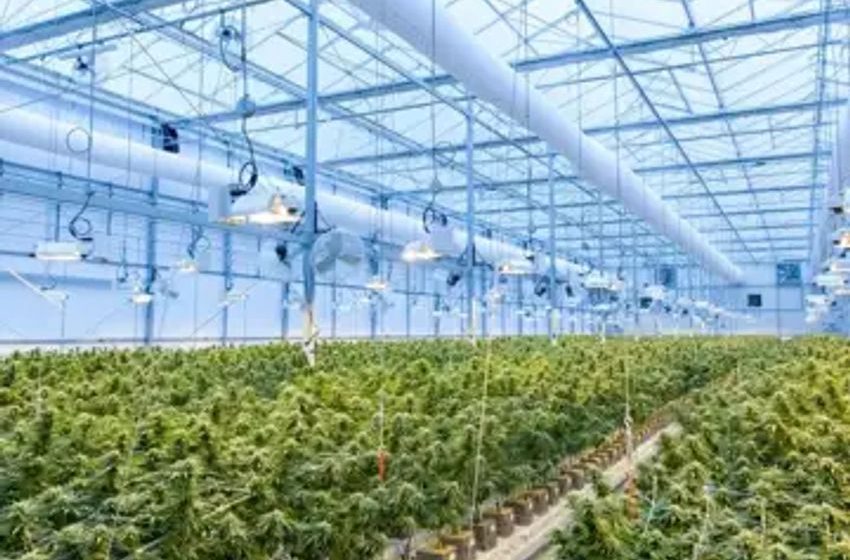  Marijuana REIT Innovative Industrial Properties Declares Q2 2023 Dividends