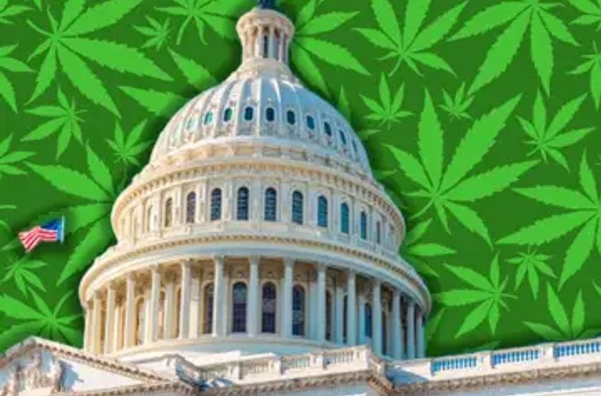  Nation’s First Cannabis Super PAC: Launch: Legalize America To Champion Marijuana Law Reform