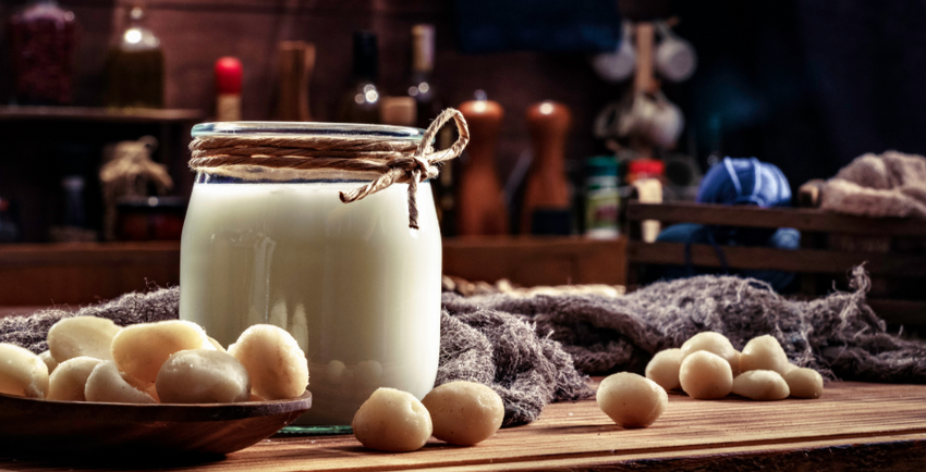  Almond, soy, hemp: Best types of milk for vegans
