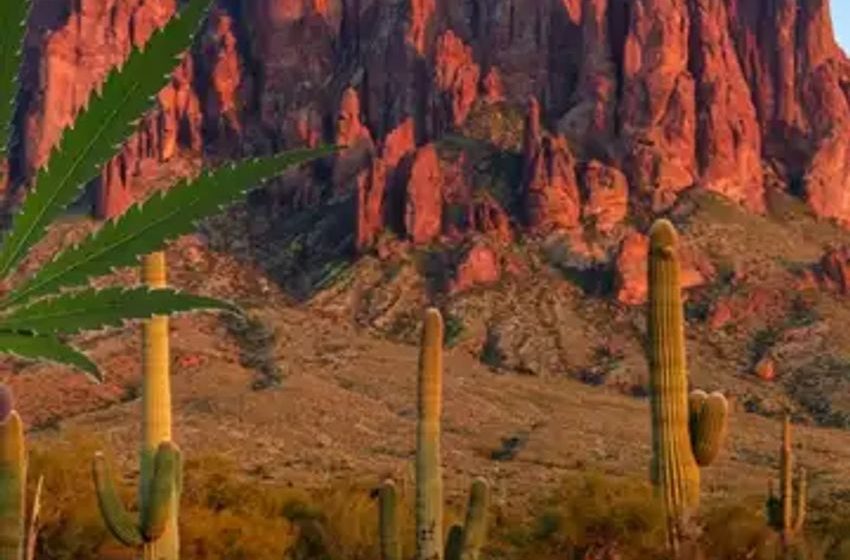 Berner’s Cookies Enters Arizona Cannabis Market